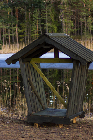 Empty Log Shed on the Calm and Sunny Spring Day in the Forestの写真素材