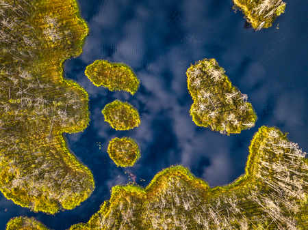 Drone Photo of Colorful Moorland in Early Summer Sunrise with Clouds Reflecting in the Water between...