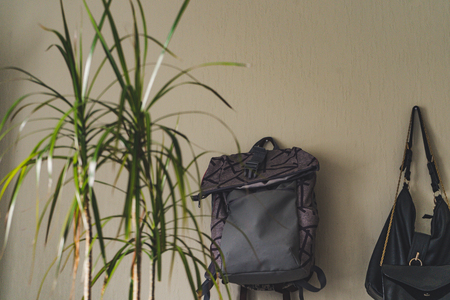 Purple School Backpack Hanging on the Wall - Isolated Object with White Background with Green Plant Besides it, Vintage Film Editの写真素材