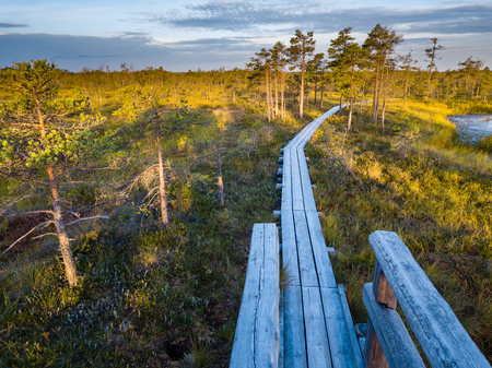 Moody Drone Photo of Colorful Moorland in Early Summer Sunrise with a Wooden Path Through itの写真素材
