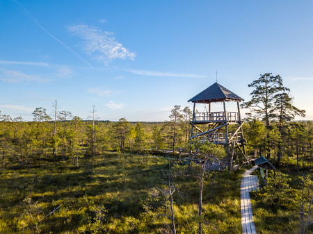 Moody Drone Photo of Colorful Moorland in Early Summer Sunrise with a Wooden Path Through it and a Watchtower in the Cornerの写真素材