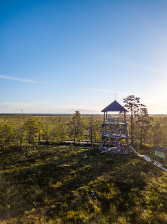 Moody Drone Photo of Colorful Moorland in Early Summer Sunrise with a Wooden Path Through it and a Watchtower in the Cornerの写真素材