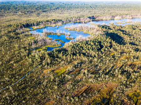 Moody Drone Photo of Colorful Moorland in Early Summer Sunrise with Small Ponds in itの写真素材