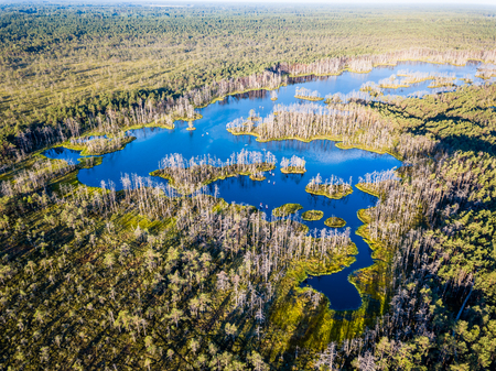 Moody Drone Photo of Colorful Moorland in Early Summer Sunrise with Small Ponds in itの写真素材