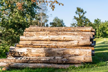 A Pile of Logs in the Backyard on the Sunny Summer Evening -Sun Rays Shining on themの写真素材