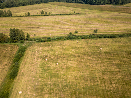 Aerial Drone Photo of Hay Rolls in the Wheat Field, Surrounded with Forests  - Sunny Summer Dayの写真素材