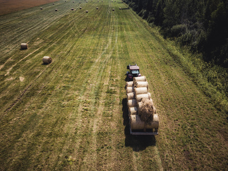 Aerial Drone Photo of Farmer Harvesting Hay Rolls in the Wheat Field with a Red Tractor - Sunny...