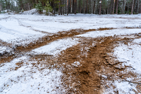 Car Tire Marks on an Empty Field Covered With Snow, Wood in the Backgroundの写真素材