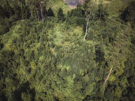 Aerial Drone Photo of the Countryside Forest, Top Down View in Sunny Summer Day - Background Material, Vintage Look Editの写真素材