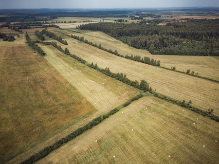 Aerial Drone Photo of Hay Rolls in the Wheat Field, Surrounded with Forests  - Sunny Summer Day, Vintage Look Editの写真素材