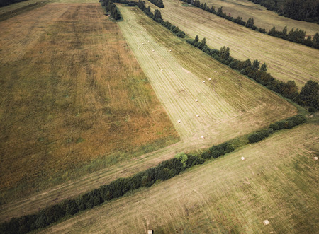 Aerial Drone Photo of Hay Rolls in the Wheat Field, Surrounded with Forests  - Sunny Summer Day, Vintage Look Editの写真素材