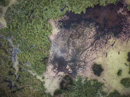 Aerial Drone Photo of the Countryside Forest, Top Down View in Sunny Summer Day - Background Material, Vintage Look Editの写真素材