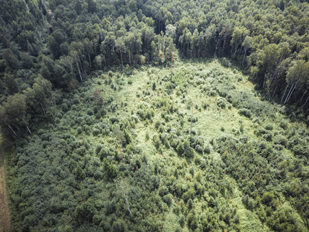 Aerial Drone Photo of the Countryside Forest, Top Down View in Sunny Summer Day - Background Material, Vintage Look Editの写真素材