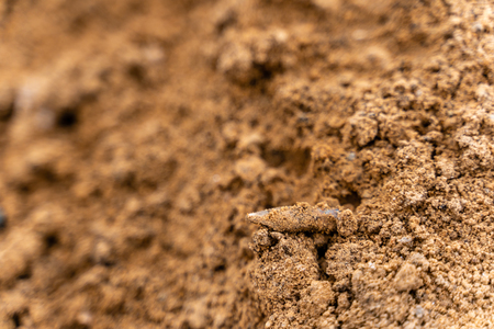 Closeup View of the Shot Bullet with Ballistic Marks in Sandsの写真素材