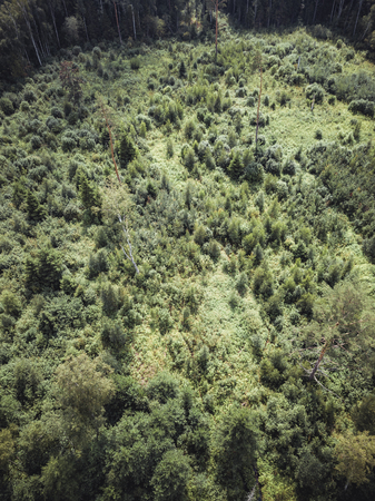 Aerial Drone Photo of the Countryside Forest, Top Down View in Sunny Summer Day - Background Material, Vintage Look Editの写真素材