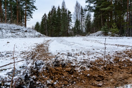 Car Tire Marks on an Empty Field Covered With Snow, Wood in the Backgroundの写真素材