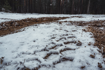 Car Tire Marks on an Empty Field Covered With Snow, Wood in the Background - Cloudy Day, Vintage Film Lookの写真素材