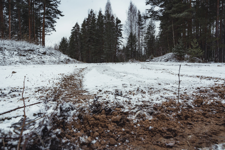 Car Tire Marks on an Empty Field Covered With Snow, Wood in the Background - Cloudy Day, Vintage Film Lookの写真素材