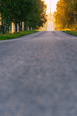 Sun Shining at the End of the Road with Birch Alley Besides it - Sunny Summer Day, Golden Hour, Partly Blurred with Space for Textの写真素材