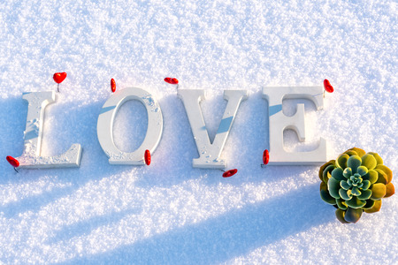 Closeup of Isolated Word "Love" from Wooden Pieces in the Snow on Sunny Winter Day with White Background with Red Heart Decorations Around it - Concept of Love, Happiness and Joy on Valentines Dayの写真素材