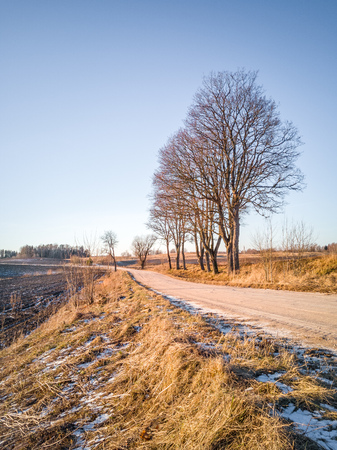 Empty Countryside Landscape in Sunny Winter Day with Snow Partly Covering the Ground, Road in the Middle of Photo - Concept of Peace and Harmonyの写真素材