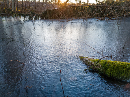 Closeup Details of Landscape in Sunny Winter Day with Snow Partly Covering the Ground, Abstract Backgroundの写真素材