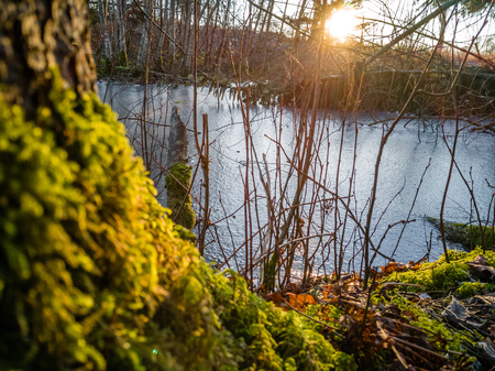 Closeup Details of Landscape in Sunny Winter Day with Snow Partly Covering the Ground, Abstract Backgroundの写真素材