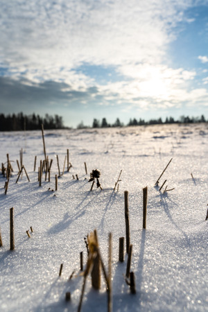 Empty Countryside Landscape in Sunny Winter Day with Snow Covering the Ground, Abstract Background with Deep Look - Concept of Fun and Joyの写真素材