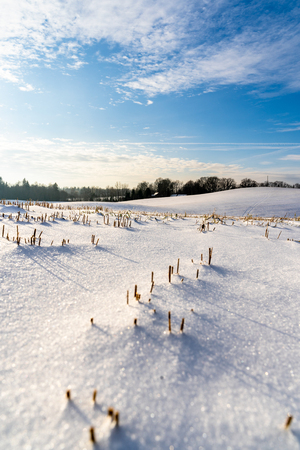 Empty Countryside Landscape in Sunny Winter Day with Snow Covering the Ground, Abstract Background with Deep Look - Concept of Fun and Joyの写真素材