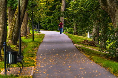 Young Man Going on the Road in a Park with Flowers in his Hand, Between Woods - Space for Text, Sunny Autumn day, Concept of the Valentine`s dateの写真素材