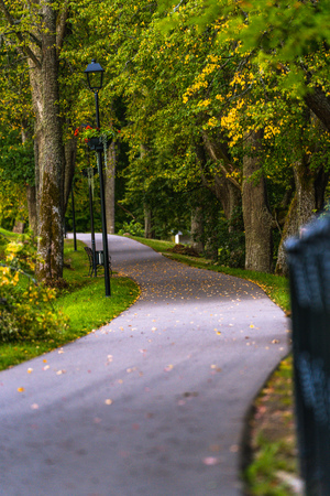 Colorful Photo of the Road in a Park, Between Woods - Closeup view of the Chain Fence with Blurred Background with Space for Text, Sunny Autumn day, Concept of the Peace and Harmonyの写真素材