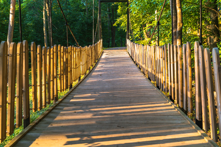 Colorful Photo of the Park on a Sunny Autumn day - Wooden Bridge in the Middle of it, Concept of the Harmony and Travel in the Countrysideの写真素材
