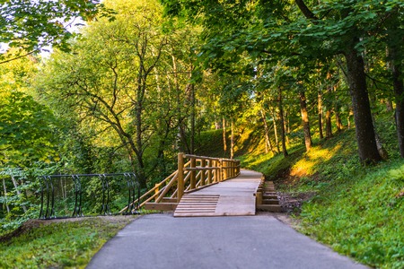 Colorful Photo of the Park on a Sunny Autumn day - Wooden Walking Path in the Middle of it, Concept of the Harmony and Travel in the Countrysideの写真素材