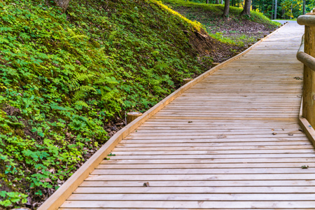 Colorful Photo of the Park on a Sunny Autumn day - Wooden Walking Path in the Middle of it, Concept of the Harmony and Travel in the Countrysideの写真素材