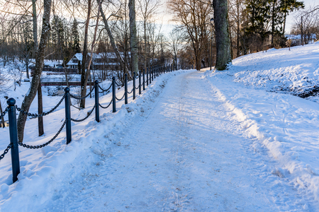 Photo of an Empty Walkway in Park on Sunny Winter Evening - Concept of Joy and Harmonyの写真素材