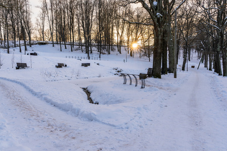 Photo of an Empty Walkway in Park in Alley on Sunny Winter Evening - Concept of Sadness and Lonelinessの写真素材