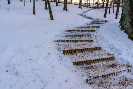 Photo of an Empty Wooden Stairs in Park on Sunny Winter Evening - Concept of Sadness and Lonelinessの写真素材