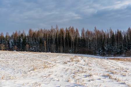Empty Countryside Landscape in Sunny Winter Day with Snow Covering the Ground, Abstract Background with Deep Look - Concept of Fun and Joyの写真素材