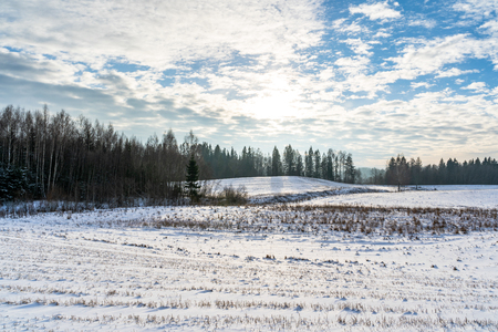 Empty Countryside Landscape in Sunny Winter Day with Snow Covering the Ground, Abstract Background with Deep Look - Concept of Fun and Joyの写真素材