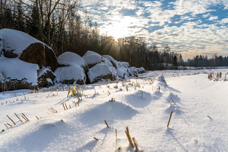 Empty Countryside Landscape in Sunny Winter Day with Snow Covering the Ground, Abstract Background with Deep Look - Concept of Fun and Joyの写真素材