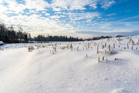 Empty Countryside Landscape in Sunny Winter Day with Snow Covering the Ground, Abstract Background with Deep Look - Concept of Fun and Joyの写真素材