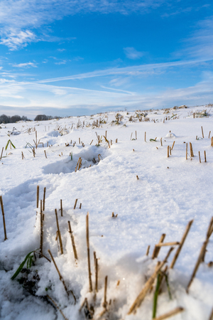Empty Countryside Landscape in Sunny Winter Day with Snow Covering the Ground, Abstract Background with Deep Look - Concept of Fun and Joyの写真素材
