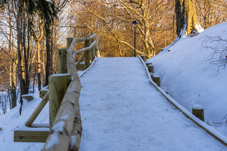 Snowy Photo of the Park on a Sunny Winter day - Wooden Footpath in the Middle of it, Concept of the Harmony and Travel in the Countrysideの写真素材