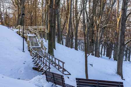 Snowy Photo of the Park on a Sunny Winter day - Wooden Footpath in the Middle of it, Concept of the Harmony and Travel in the Countrysideの写真素材