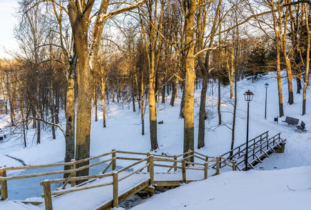 Snowy Photo of the Park on a Sunny Winter day - Wooden Footpath in the Middle of it, Concept of the Harmony and Travel in the Countrysideの写真素材