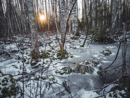 Closeup Details of Landscape in Sunny Winter Day with Snow Partly Covering the Ground, Abstract Background, Vintage Film Lookの写真素材