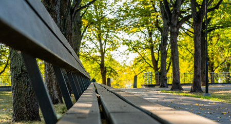Closeup of Empty Park Benches in Sunny Autumn Day With Golden Leaves in Trees, Latvia, Europe, Concept of Relaxing Travel day in Peace and Harmony on Countryside, Selective Focus, Abstract Backgroundの写真素材