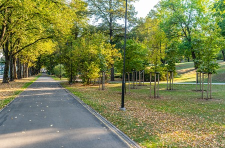 Colorful Foliage in the Park - in Sunny Autumn Day With Golden Leaves in Trees, Latvia, Europe,...