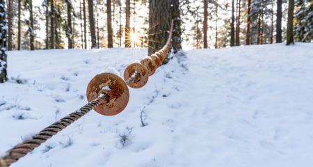 Photo of Outdoor Playground Elements in Forest in Sunny Winter, Abstract Background with Selective Focus and Free Space for Text, Rope - symbolizing the Concept of the Leading Line to Successの写真素材
