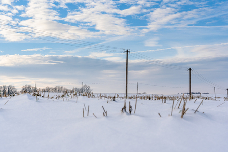 Empty Countryside Landscape in Sunny Winter Day with Snow Covering the Ground with Power Lines in Frame, Abstract Background with Deep Look - Concept of Fun and Joyの写真素材